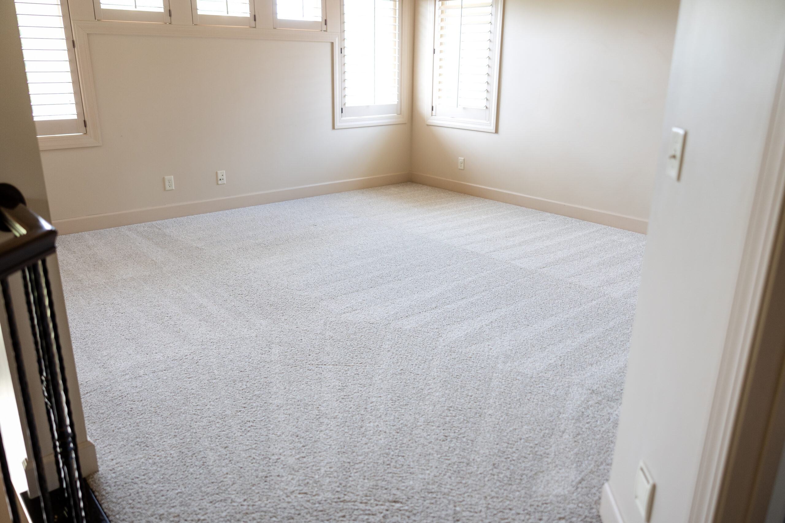Carpet Cleaning